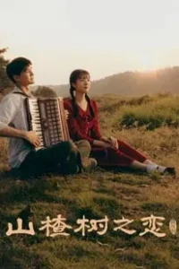 When the Hawthorn Blooms (2025)