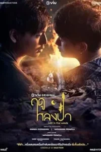 Lost in the Woods 2025