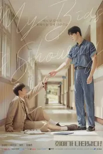 My Bias is Showing! (2025)