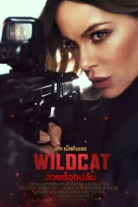 wildcat